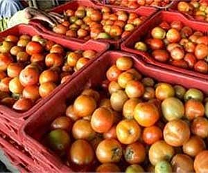 Representational Image. | Express File Photo