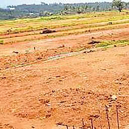 Telugu terms soon to replace Pahani, Sethwaris