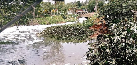 Varthur lake attained national notoriety for spilling toxic foam on to the surrounding streets in December 2016 | Pushkar v