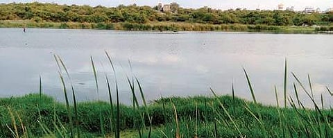 File picture of Peacock Lake | express photo