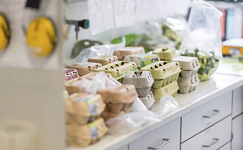 Possibly contaminated eggs in a German supermarket. (AP Photo)