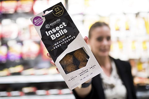 An employee of a Coop supermarket shows a packet of insect balls in Lugano, Switzerland. (Photo| AP)