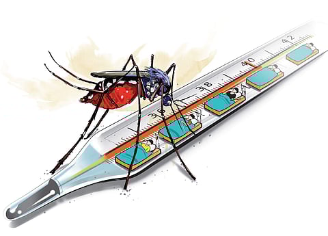 No dengue deaths in Telangana this year?