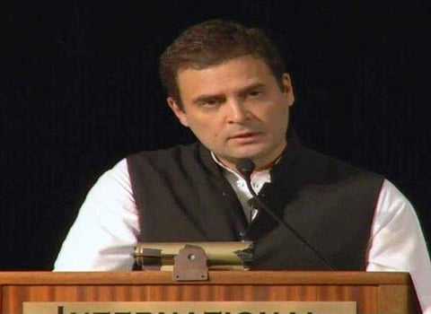 Congress vice-president Rahul Gandhi  |Photo: ANI/Twitter