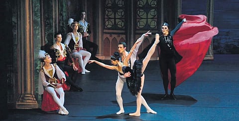 The white swan pirouettes with elegance