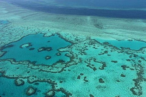 Great Barrier Reef (File photo |AFP)