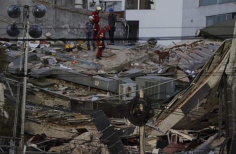 A powerful earthquake shook central Mexico on Tuesday, collapsing buildings in plumes of dust and killing at least 250 people. Thousands fled into the streets in panic, and many stayed to help rescue those trapped. In pic: A rescue dog helps workers look 