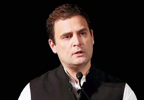 Congress Vice-President Rahul Gandhi | PTI