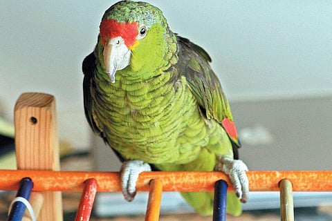 Image used for representational purpose only