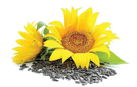 Image for representational purpose