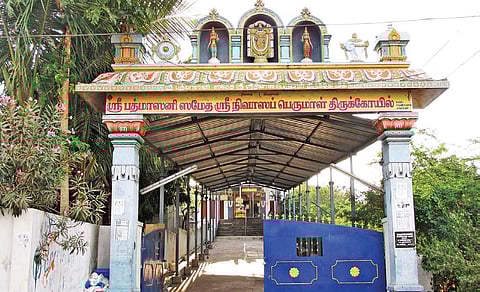 Photos: Chithra Madhavan