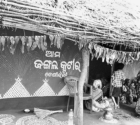 The Forest Rights Information Centre in the village of Nayagarh district | Express