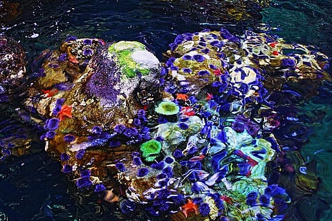 Image used for representational purpose