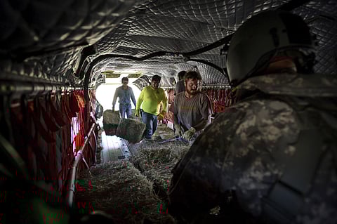 Local authorities advised residents returning homes within the evacuation zone to drink bottled water and wear surgical masks, closed-toe shoes and gloves as a precautionary measure. | AP