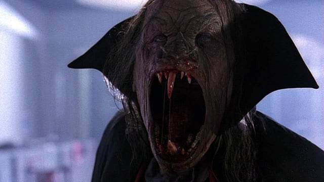 The Night Flier, a 1997 film directed by Mark Pavia and starring Miguel Ferrer and Julie Entwisle follows two journalists who are trying to track down a serial killer who travels by a private plane. One of the journalists believe the killer might be a vampire.