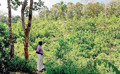 The site where the proposed waste treatment plant of IMA will come up. Picture courtesy Sali Palode