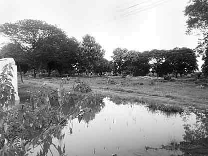 Site for the proposed medical college at Bhangabari | Express