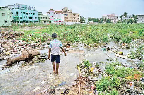 Excess water from Selaiyur lake entering the vacant land that belongs to the Hindu Religious and Charitable Endowment Department at Selaiyur, before flowing into residential areas of Chitlapakkam in Chennai | Sunish P Surendran