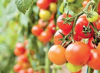 Researcher finds an easy way to remove pesticides in your veggies