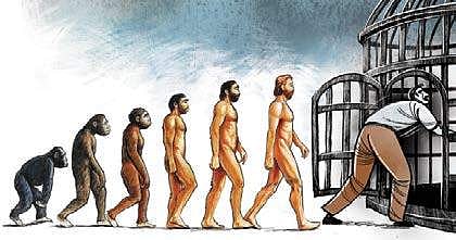 On the evolution of religion