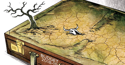 Will jaitley sow the right seeds?