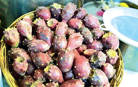 Going Fida over Findla