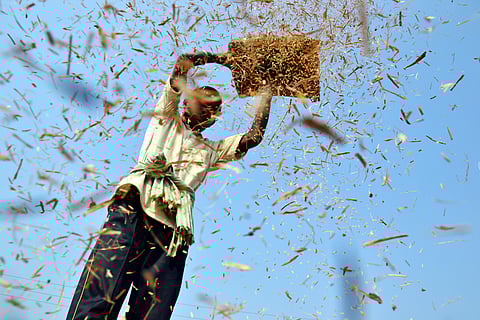 Odisha government on Thursday piloted a Grain ATM in the city, the first-of-its-kind in the state