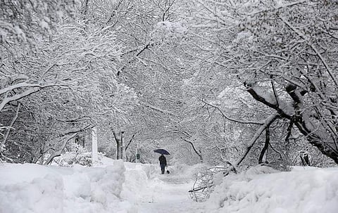 A woman walks her dog on a snow-covered path beside the Rideau Canal in Ottawa February 28, 2013. (Photo | Reuters)