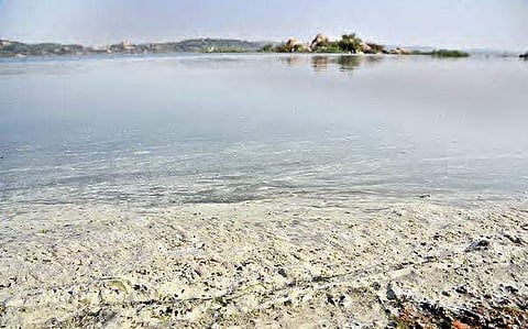Polluted water in Gandigudem Lake due to pharmaceutical effluents flowing from Industrial Development Area| file photo