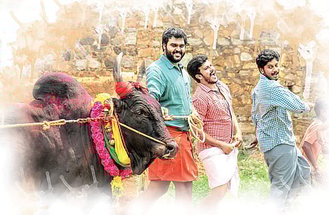 Taking direction by the horns