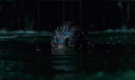 A still from The Shape of Water. (Photo | YouTube screengrab)