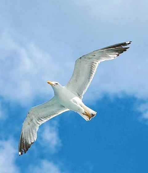 What can bring a radical change in society