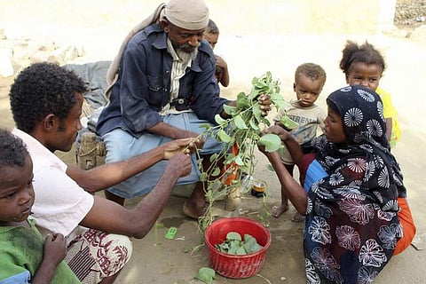 In this Aug. 25, 2018 photo, a man feeds children Halas, a climbing vine of green leaves, in Aslam, Hajjah, Yemen. Yemenis in the isolated pocket in the north have been reduced to eating boiled leaves from a local vine to stave off starvation, with no aid