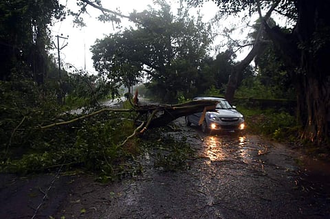 Vehicular communication came to a grinding halt as roads connecting Gopalpur and other stretches of Ganjam and Gajapati due to felling of trees  (Photo | EPS)
