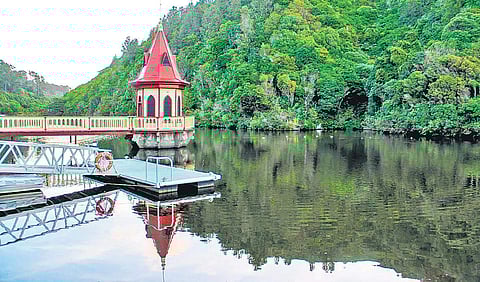 A view of the old reservoir in Zealandia