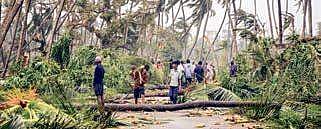 A view of the uprooted trees in Baruva village