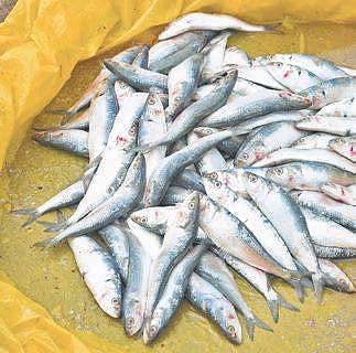 Image used for representational purpose only.