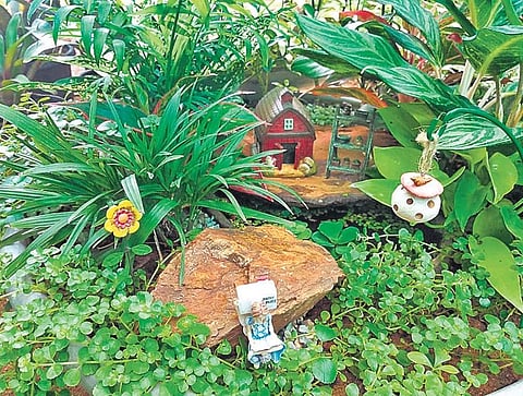 Sorrel Gardens, a farm venture started by Gohulabalan and his wife  Padmini, five years ago
