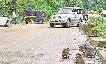 With the closure of the ghat, ordinary and multi-axle buses were travelling via Charmady ghat and Kudremukh respectively.