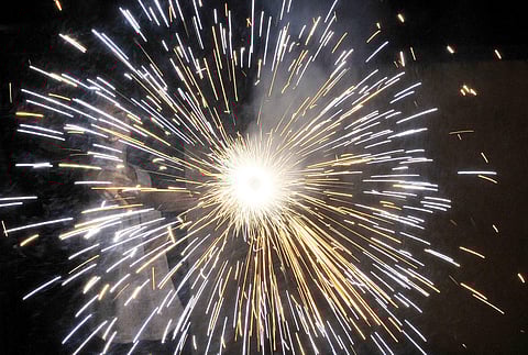 A file image of a firecracker.  (Photo | EPS)