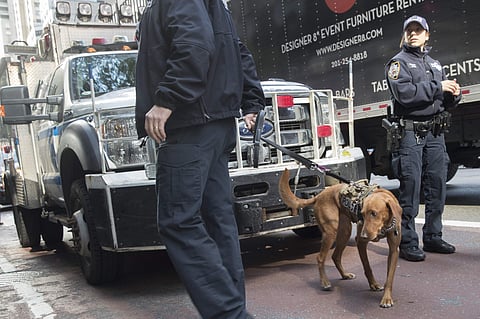 Emergency service personnel with a bomb sniffing dog work outside the building that houses New York Governor Andrew Cuomo's office after a report of a suspicious package, Wednesday, Oct. 24, 2018, in New York. (Photo | AP)
