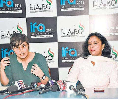 The activities of the federation revolve around protecting the rights of animals at any corner of the country.