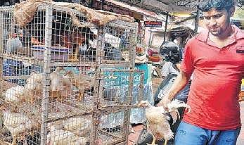 A chicken shop at Palayam market Vincent Pulickal