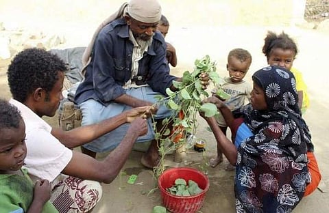 A man feeds children Halas, a climbing vine of green leaves, in Aslam, Hajjah, Yemen. Yemenis in the isolated pocket in the north have been reduced to eating boiled leaves from a local vine to stave off starvation, with no aid reaching many families who n