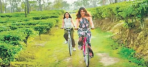 Awesome Assam’ ad.