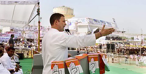 Congress President Rahul Gandhi. (Photo | PTI)