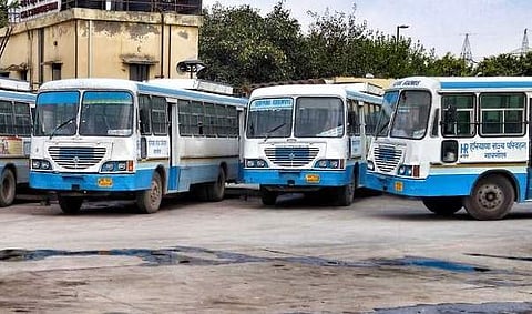 Ganja suppliers held