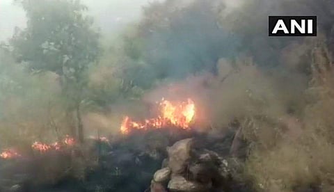23 students trekking in Kurankani hills in Theni were caught in the forest fire. | ANI/Twitter