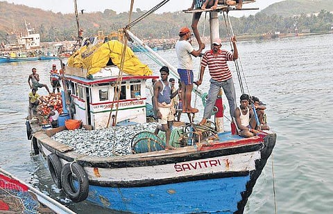 A fishing boat docked in the Karwar port with a big catch | Express