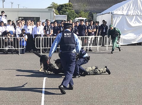 Image used for representational purpose only (File Photo | AP)